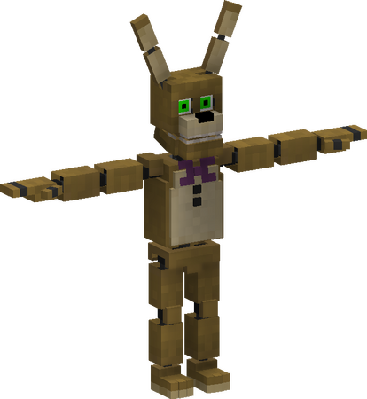 Spring Bonne (HW) -2024